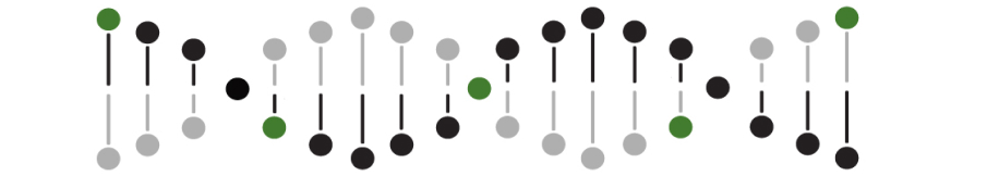 Second Frame Image 1